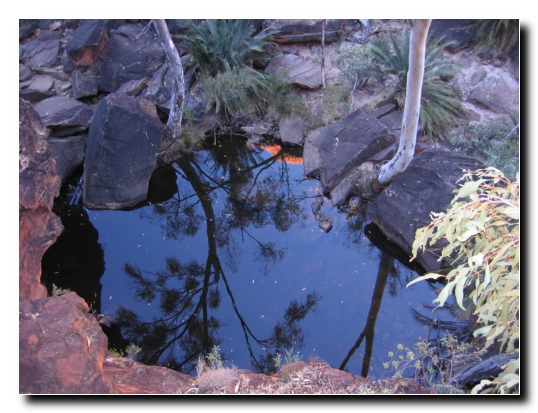 22 Garden Eden im Kings Canyon